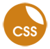 css icon