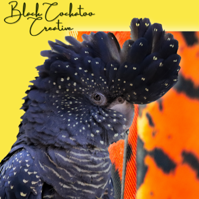 Black cockatoo logo option #2